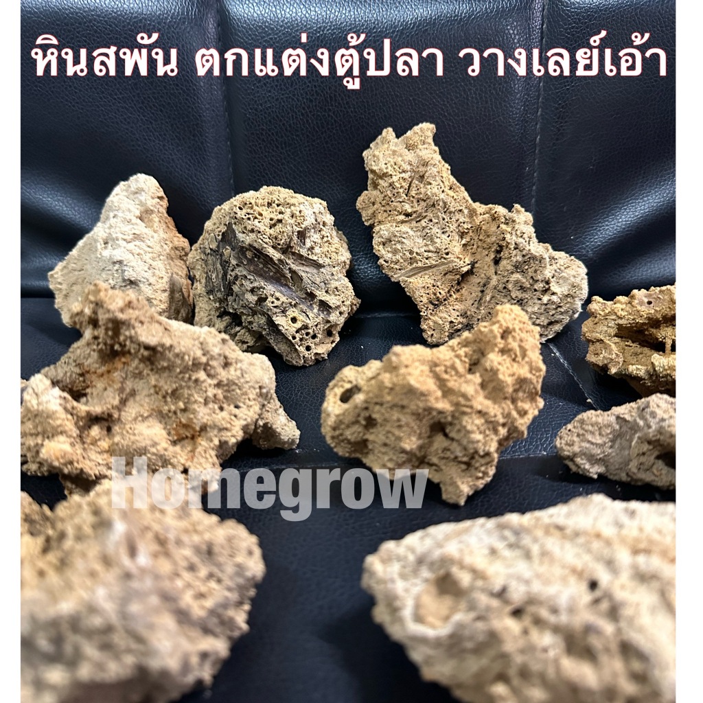 หิน สพันจ วางเลย์เอ้า ตกแต่งตู้ปลา พร้อมส่งในไทย สพันจ