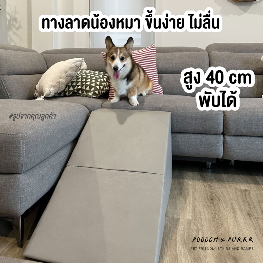 พร้อมส่ง POOOCH & PURRR พูชแอนดเพอร์ dog ramp | ทางลาด บันไดน้องหมา สูง 40 cm รุ่น FOLD40 SHORT
