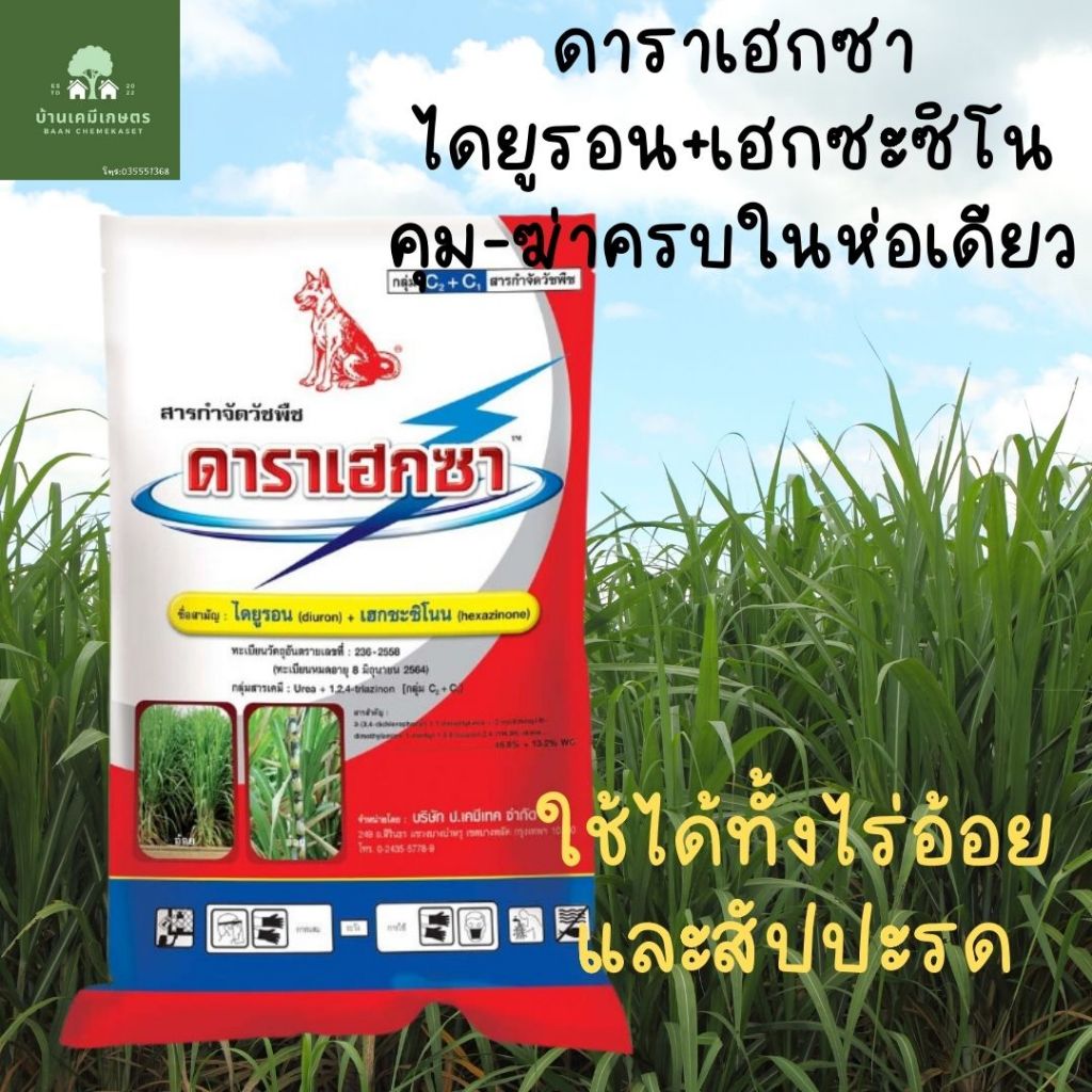 ดาราเฮกซา ยาคุมฆ่าในไร่อ้อย ไร่สับประรด ขนาด 1kg