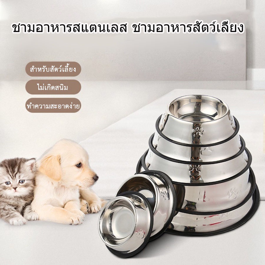 ชามอาหารสแตนเลส ชามอาหารสัตว์เลี้ยง สุนัข หมา แมว ถ้วยอาหารหมา พร้อมส่ง