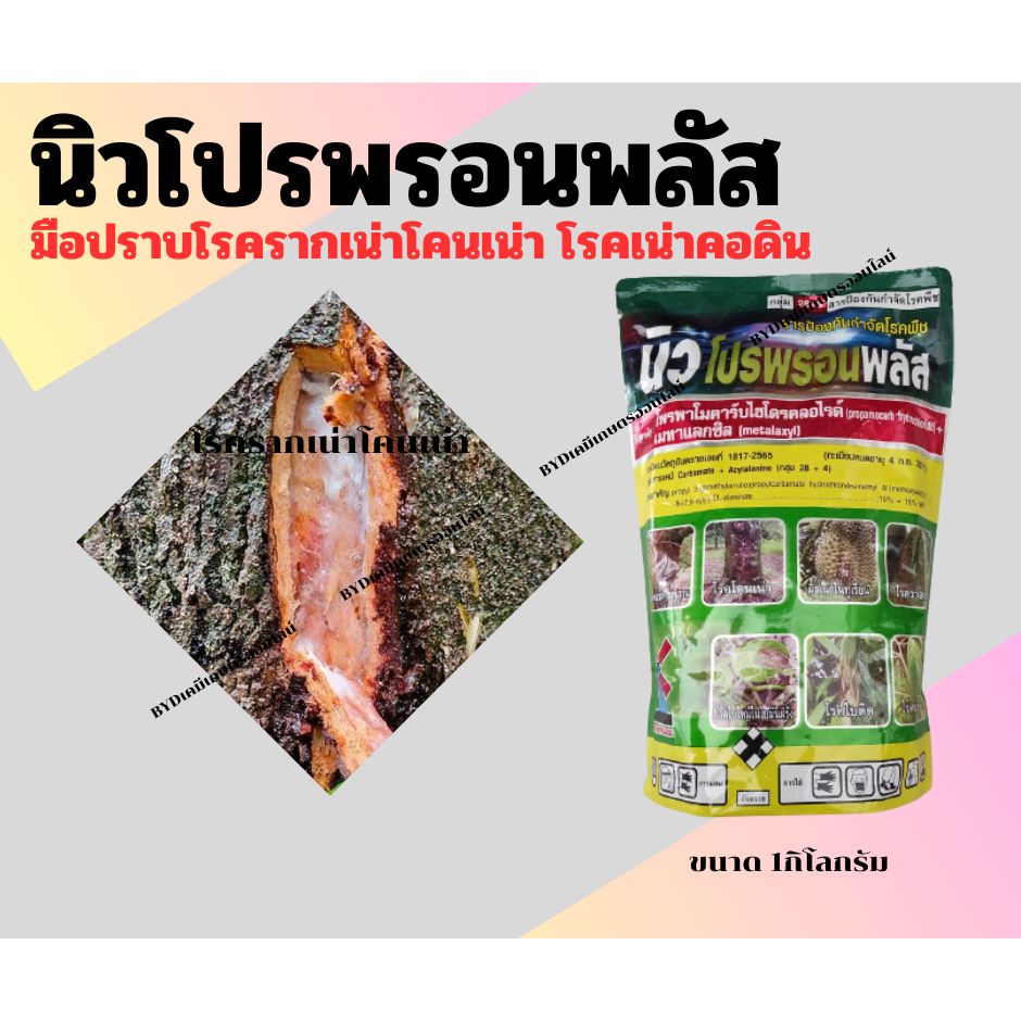 นิวโปรพรอนพลัส ขนาด1กิโล โพรพาโมคาร์บ+เมทาแลกซิล สาร2ตัวบวก สูตรรวมพลังกำจัดโรครากเน่าโคนเน่า ไฟท๊อป เน่าคอดิน