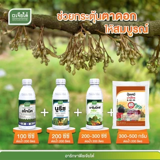 นูริช แคนเซียมโบรอน 1 ลิตร