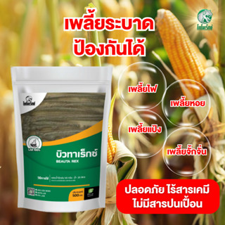 ป้องกันเพลี้ยระบาด เพลี้ยอ่อน ในข้าวโพด และพืชทุกชนิด ป้องกั…