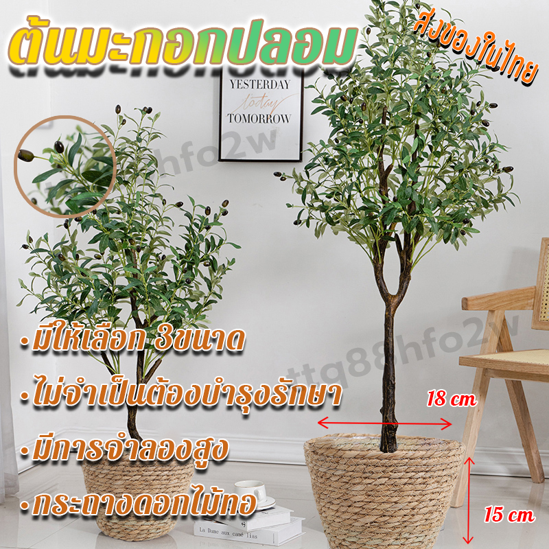 ส่งของในไทย พร้อมกระถาง ต้นมะกอกปลอม ต้นมะกอกโอลีฟ มีให้เลือก 3ขนาด ไม่จำเป็นต้องบำรุงรักษา ต้นโอลีฟ