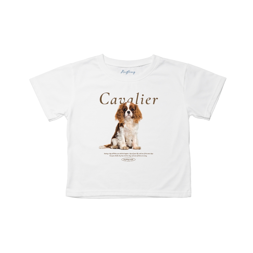 Cavalier ลายใหม่สุดคิ้ว น่ารักใส่ง่าย ผ้านุ่มใส่สบาย ใส่ได้ในทุกๆวัน พร้อมส่ง