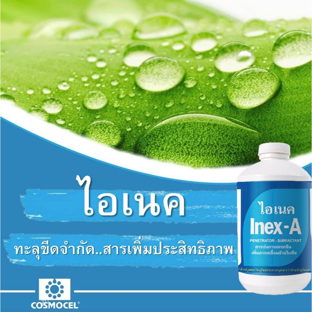 Inex-A ไอเนค สารเพิ่มประสิทธิภาพ สารเร่งการแทรกซึม เพิ่มการเคลื่อนย้าย ลดการเกิดฟอง (Cosmocel) บรรจุ