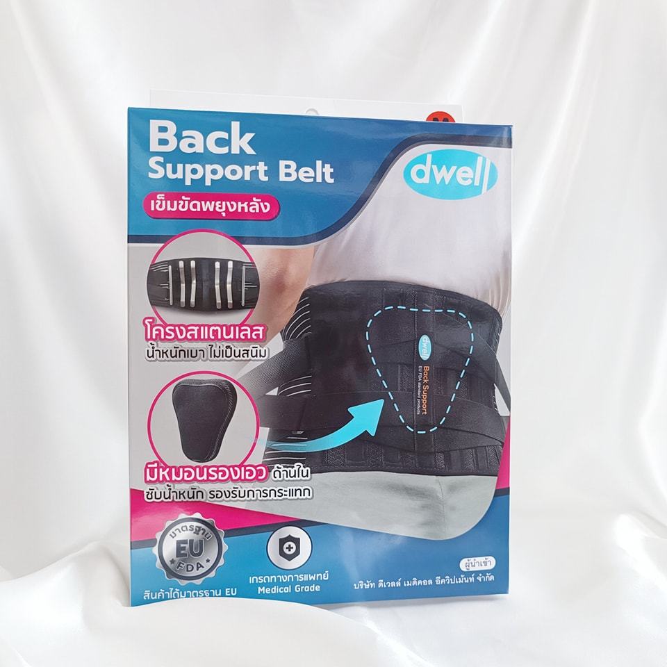 Dwell Back support Belt