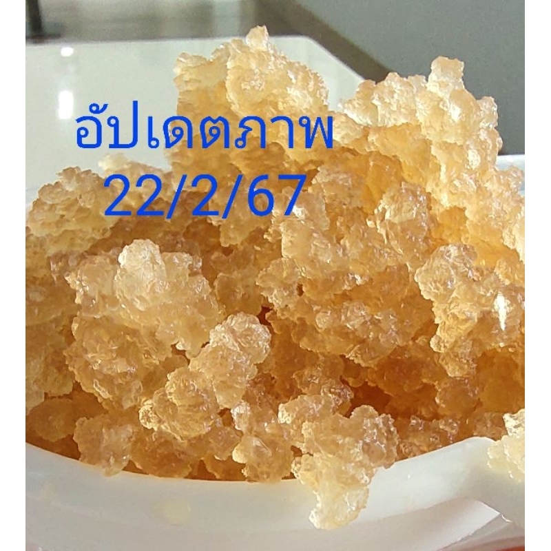 เกรนคีเฟอร์น้ำ  เกรดพรีเมี่ยม 100 g (Tibicos , Water Kefir) พร้อมวิธีและเทคนิคการทำเครื่องดื่มโพรไบโ