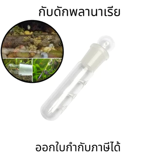หลอดแก้วดักพลานาเรีย กับดักพลานาเรีย Planaria Trap สำหรับตู้กุ้ง ตู้ปลา ตู้ไม้น้ำ สำหรับกำจัดพลานาเรียในตู้ปลา