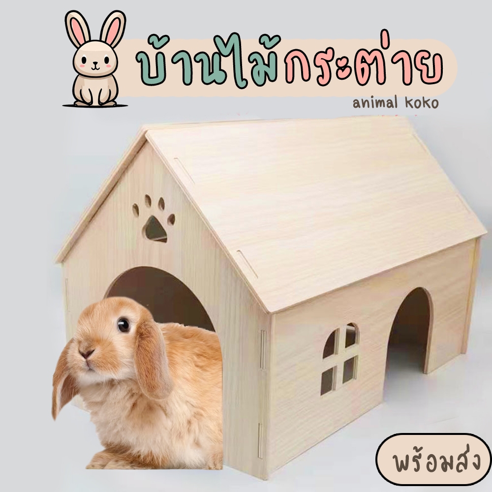 [Animal kOKO] บ้านกระต่าย บ้านไม้ประกอบ สีบีช หลังใหญ่ พร้อมส่ง ทนทาน ล้างน้ำได้