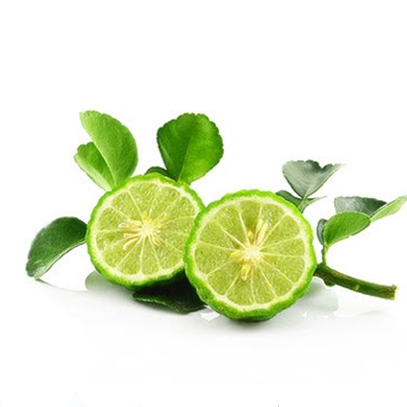 สารสกัดมะกรูด Bergamot Extract 100 ml. Iสารสกัดสมุนไพรสำหรับใช้ในเครื่องสำอาง ราคา ถูกที่สุด ดีลบีเคเค แกลเลอรีภาพที่ 3