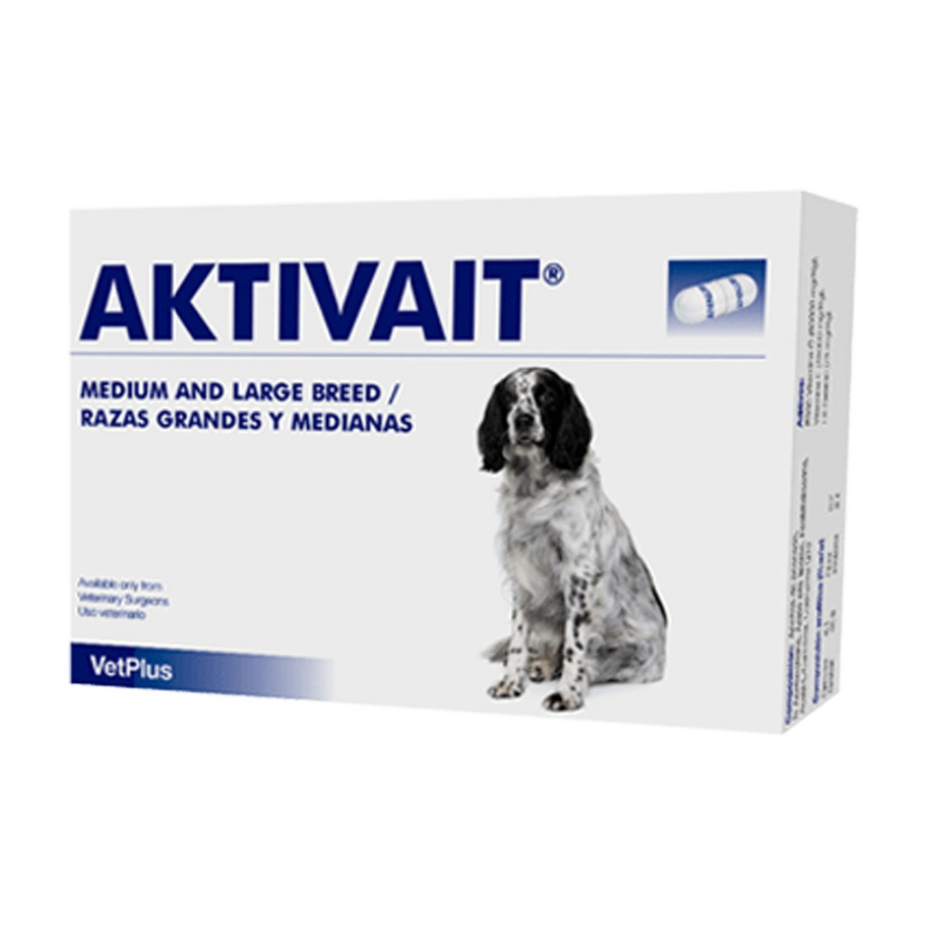 Aktivait Medium and Large Breed 🔥Exp.2/2026 อาหารเสริมบำรุงสมองและระบบประสาท สำหรับสุนัขขนาดกลาง ใหญ