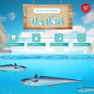 Sunday Pets Gentle Bake Hoki Small & Medium Adult Dogs - อาหารสุนัขแบบอบ สูตรปลาโฮกิล้วนสำหรับสุนัขอายุ 1 ปีขึ้นไป 1.3kg
