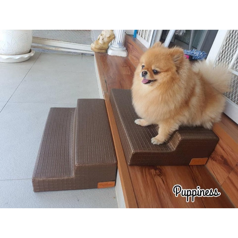 บันไดสุนัข บันไดหมา สำหรับพื้นต่างระดับ ขนาด 2 ขั้น : 50x30x12 ซม. (กxยxส) ความสูงต่อขั้น 6 ซม.
