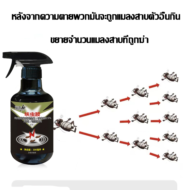 🔥แมลงสาบตายทั้งรัง🔥กำจัดแมลงสาบ ฆ่าแมลงสาบ รวดเร็ว ฆ่าแมลงสาบได้หลายชนิด เหมาะสำหรับห้องครัว โรงแรม ฟาร์ม ร้านอาหาร - รูปที่ 2