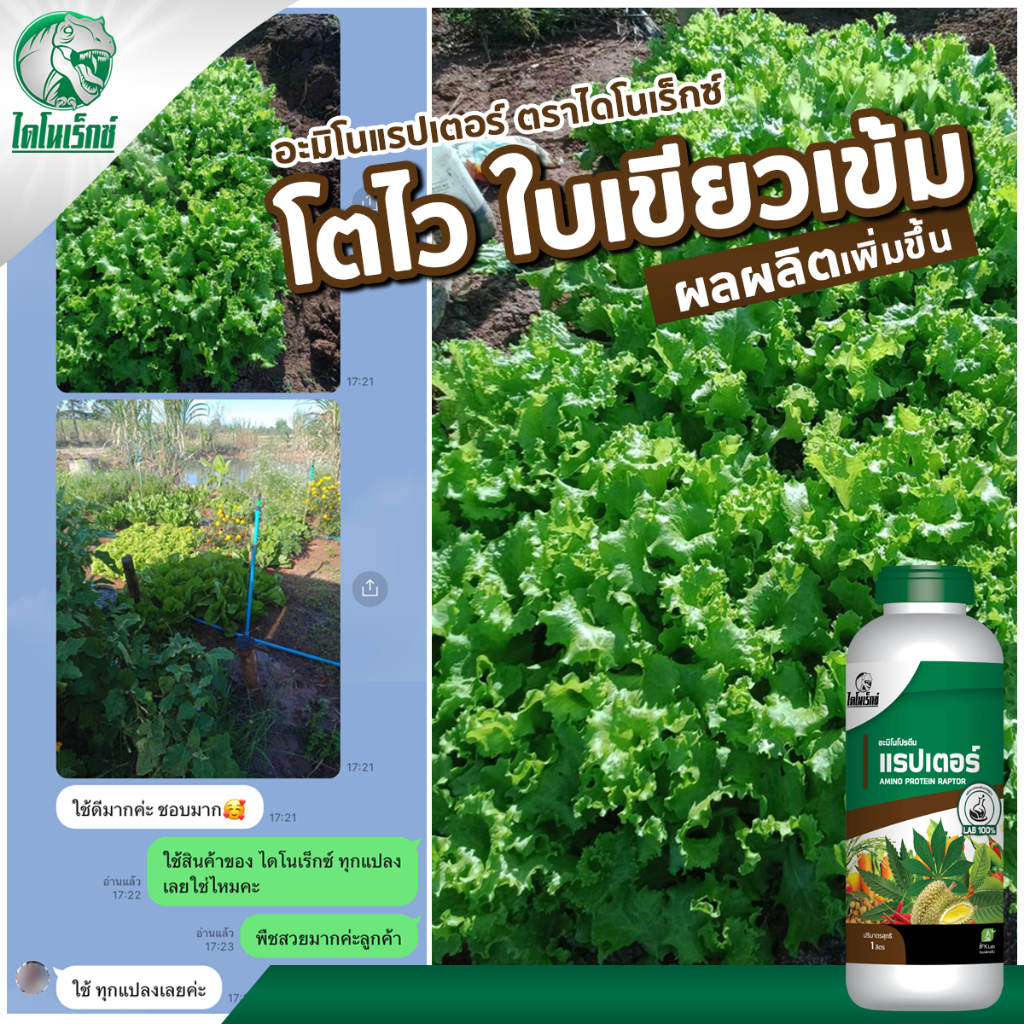 มะนาว โตไว ใบเขียว ผลใหญ่ แข็งแรง ผลผลิตดี อะมิโนโปรตีนจำเป็นสำหรับพืช 20 ชนิด อะมิโนแรปเตอร์ ตราไดโนเร็กซ์ - รูปที่ 2