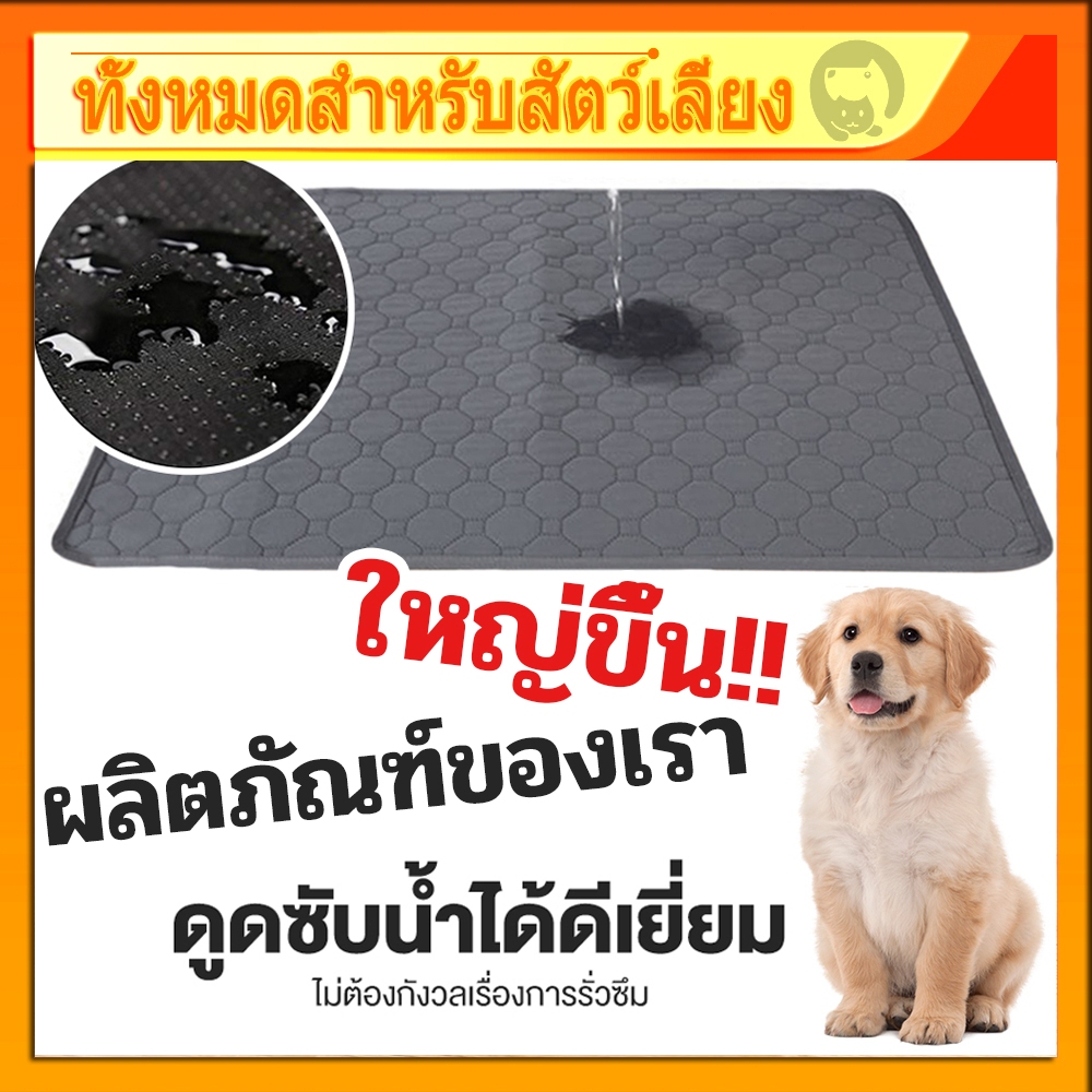 (พร้อมส่ง)📌แผ่นรองฉี่หมา แผ่นฝึกขับถ่าย ซักได้ แผ่น สามารถใช้ซ้ำได้