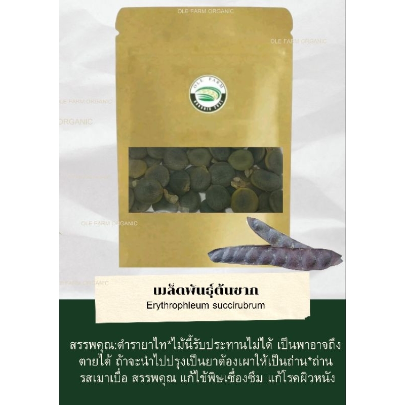 เมล็ดพันธุ์ต้นซากต้นไม้โบราณหายาก(บรรจุ25/50/100เมล็ด)