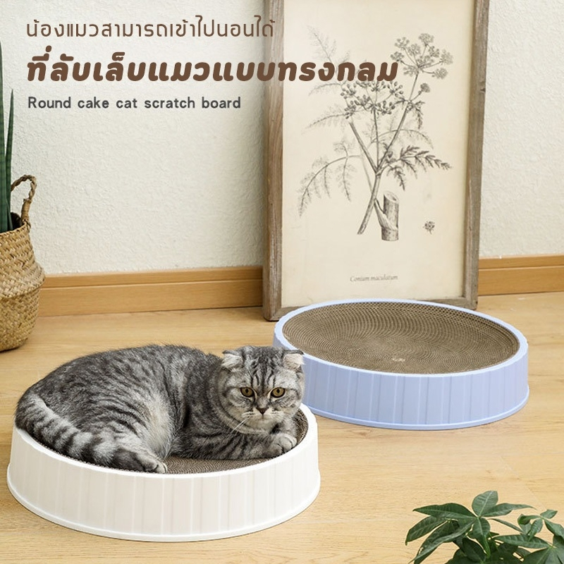 กรงเล็บแมว, อ่างอาบน้ำ, กระดานกรงเล็บแมว, ของเล่นแมว, เตียงแมว