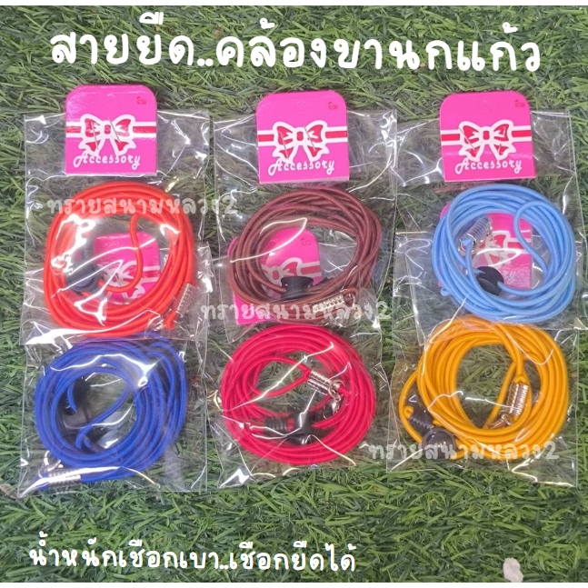 สายคล้องขา สายจูงนก นกแก้วขนาดเล็ก-กลาง น้ำหนักเบา ตัวเชือกสามารถยืดได้
