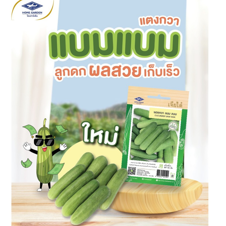 ใหม่! แตงกวาแบมแบม ซองละ100เมล็ด เจียไต๋ เมล็ดพันธุ์แตงกวา
