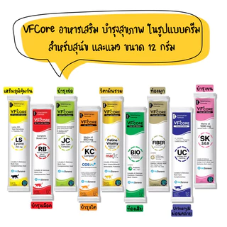 VFcore อาหารเสริมบำรุงสุขภาพ สำหรับสุนัขและแมว ขนาด 12 กรัม