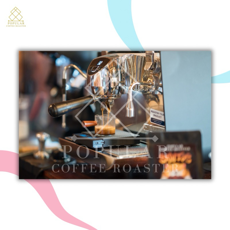 Popular coffee roaster เมล็ดกาแฟคั่ว Lively fruit รูปที่ 4