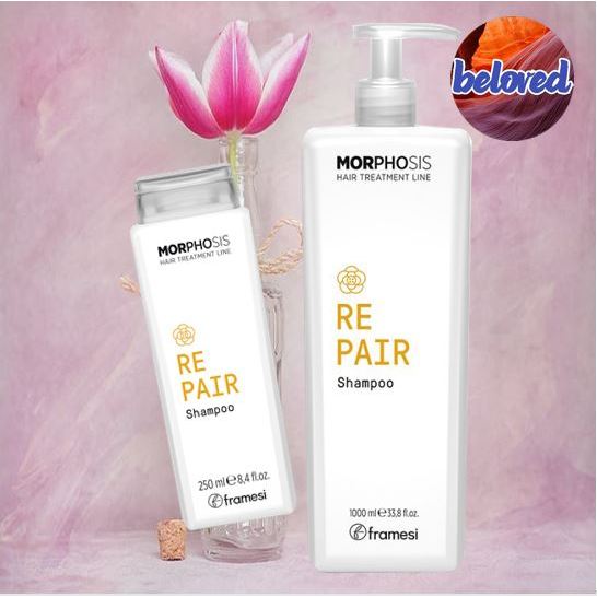 Framesi Morphosis Repair Shampoo 250/1000 ml แชมพูสำหรับผมแห้งเสีย