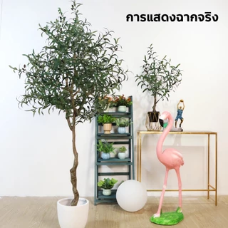 【สั่งแล้วฟรีกระถางดอกไม้ 】ต้นโอลีฟ ต้นมะกอกปลอม ของตกแต่งในร่ม ลำต้นสีน้ำตาลเหมือนของจริง ต้นไม้ปลอมใหญ่