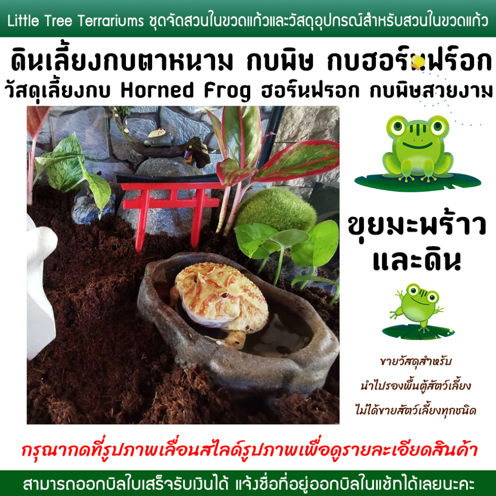 ดินเลี้ยงกบ รุ่นประหยัด วัสดุเลี้ยงกบ Mossy Frog Pacman Frog Horned Frog ฮอร์นฟรอก