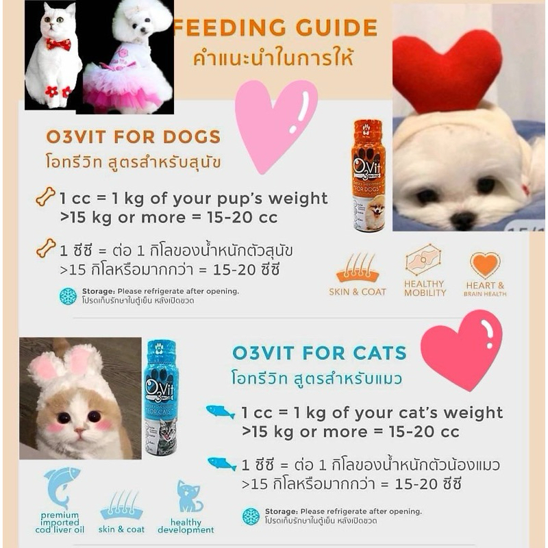 O3Vit [แท้ ] อาหารเสริมบำรุงร่างกายให้แข็งแรง โตไว บำรุงขน รูปแบบน้ำสำหรับสุนัขและแมว 50 ml.กินเก่งเสริมภูมิ