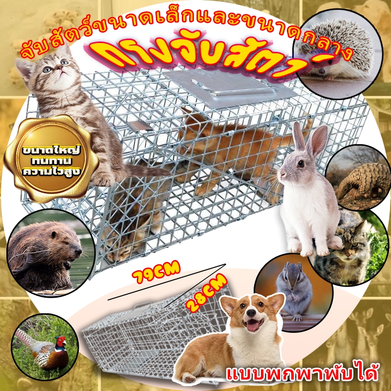 จัดส่งจากกรุงเทพ กรงดักแมว CatTrap สามารถพับได้  แข็งแรง จับแมว ดักจับแมว กรงดักแมว ดักจับแมวจร