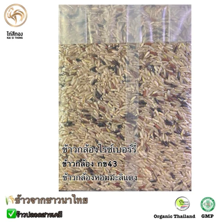 🌾ข้าวกล้องสามสี RICE BLEND ข้าวใหม่ ตราไก่สีทอง Organic ปลอดสาร 1 กก.