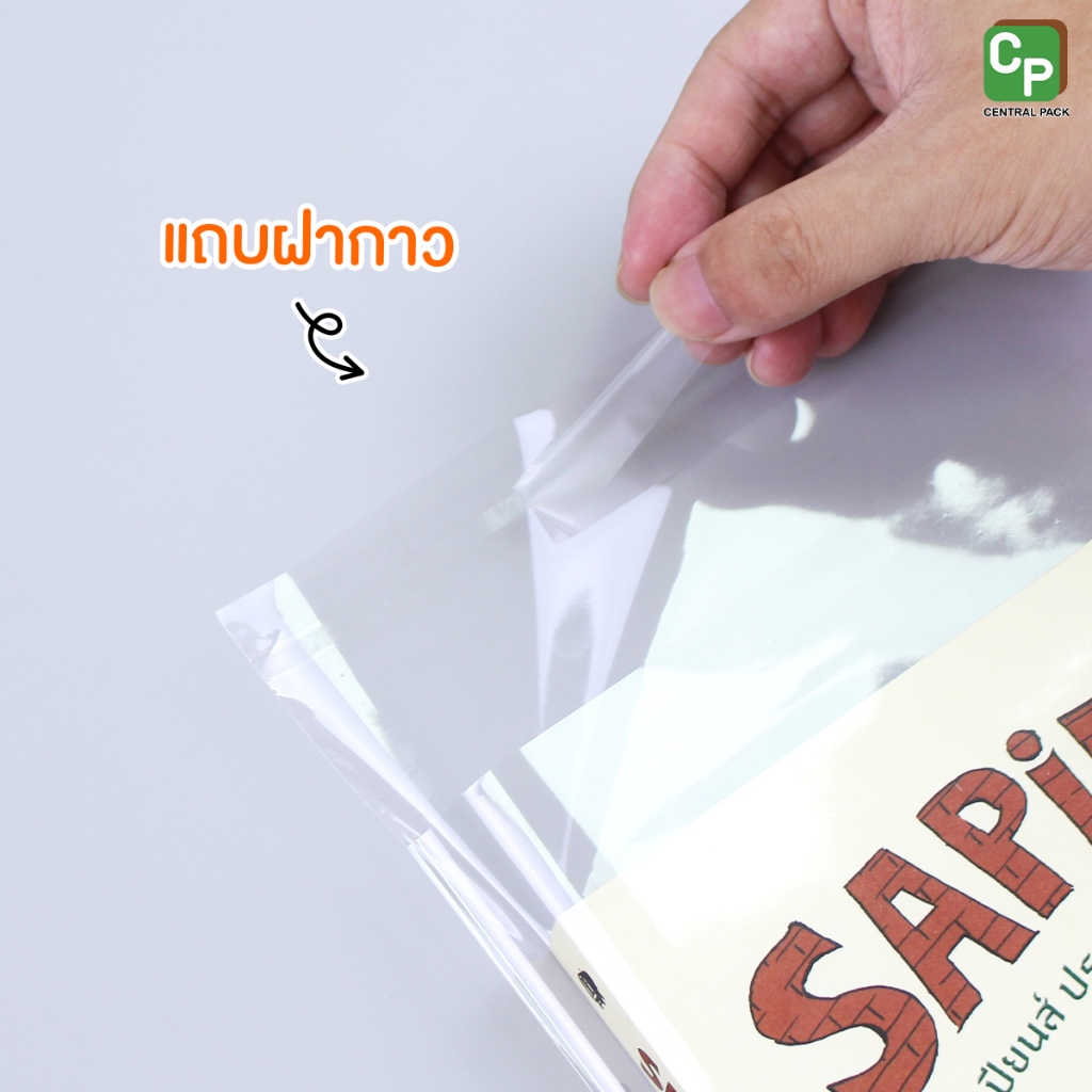 รูปภาพ 5