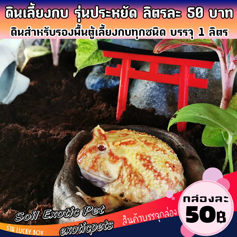 ดินเลี้ยงกบ รุ่นประหยัด ลิตรละ 50 บาท เลี้ยงกบ Horned Frog ฮอร์นฟรอก และกบทุกชนิด