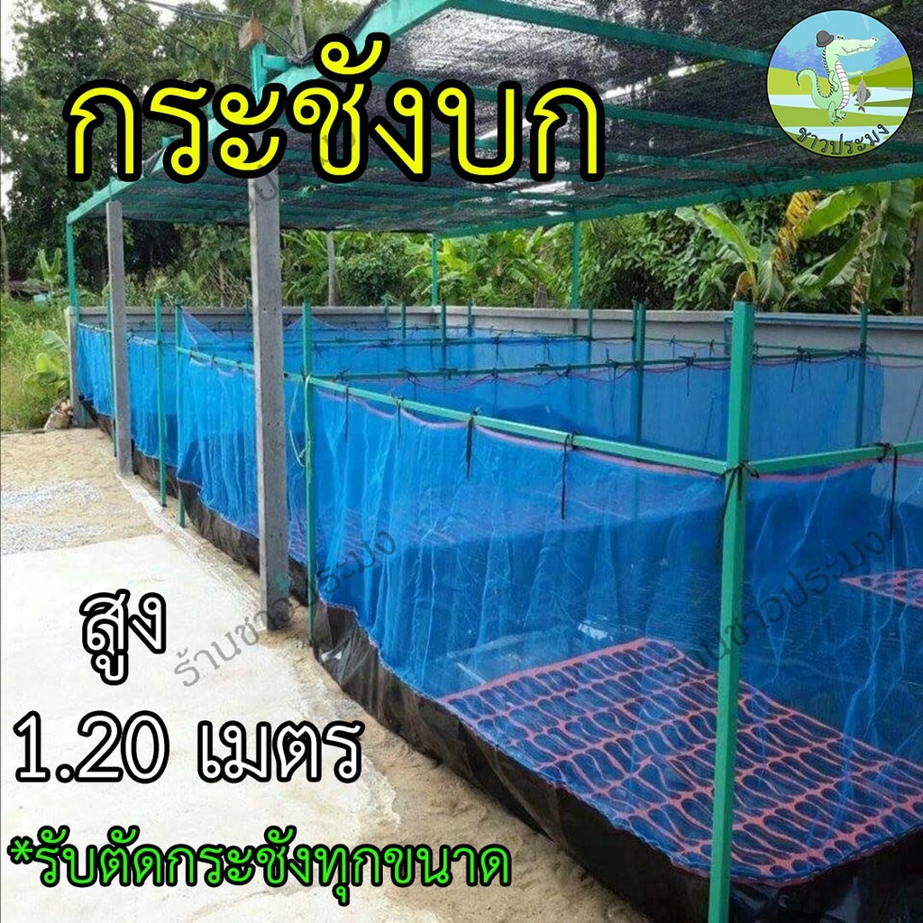 กระชังบก 1x1 1x2 1.5x2 2x2 2x3 3x4 เมตร สูง 1.2เมตร ยกขอบ 35ซม.กระชังปลาเลี้ยงกบ เลี้ยงกุ้ง เลี้ยงปู