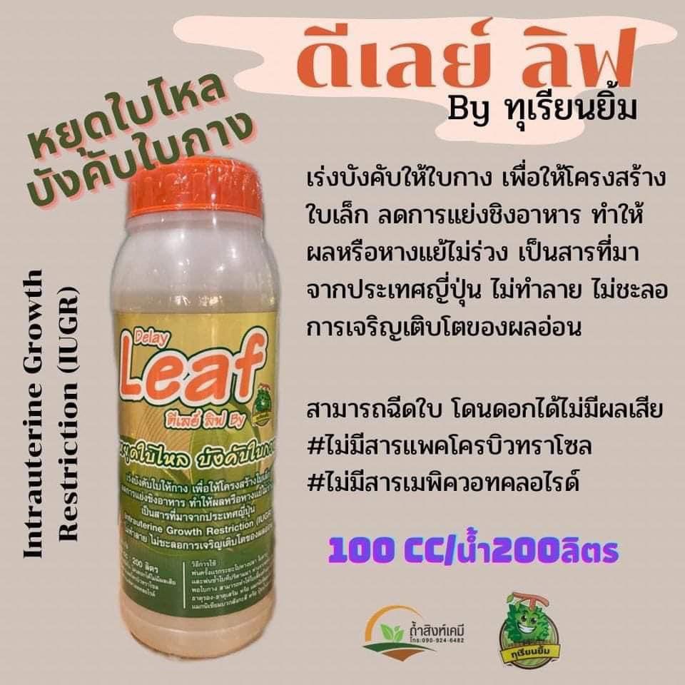 หยุดใบไหล บังคับใบกาง ด้วย ดีเลย์ลีฟ ทุเรียนยื้ม