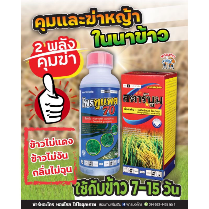 โพรทูแพค70+สตาร์บูม คุม/ฆ่าหญ้าในนาข้าวอายุ 7-15 วัน