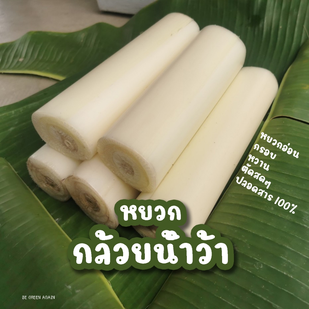 3แถม1โล หยวกอ่อน กล้วยน้ำว้า สดๆ ทำ แกงคั่ว ขนมจีน แกงใต้ พริกแกง ห่อหมก แกงส้ม แกงเหลือง แกงไตปลา ซ่าหยวก อาหารใต้ เหนื