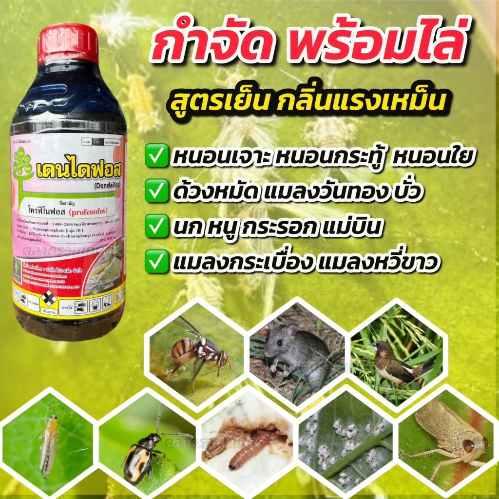 โพรฟีโนฟอส 50 สูตรเย็นน้ำมันระหุ่ง เดนไดฟอส กลิ่นแรง (ไล่นก ไล่หนู ไล่แมลง) กำจัดแมลง หนอน เพลี้ย ด้วง แมลงวันทอง