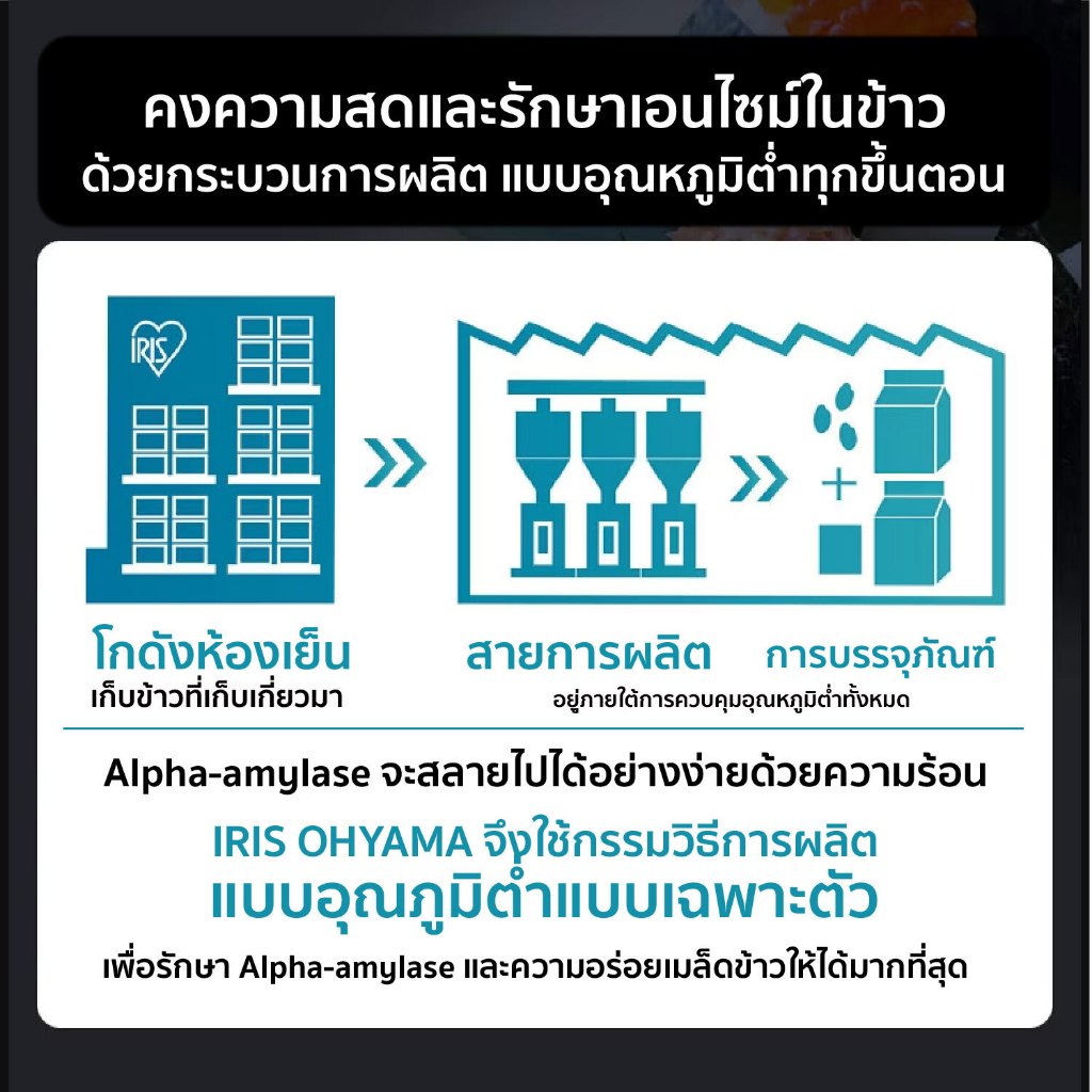 รูปภาพ 7