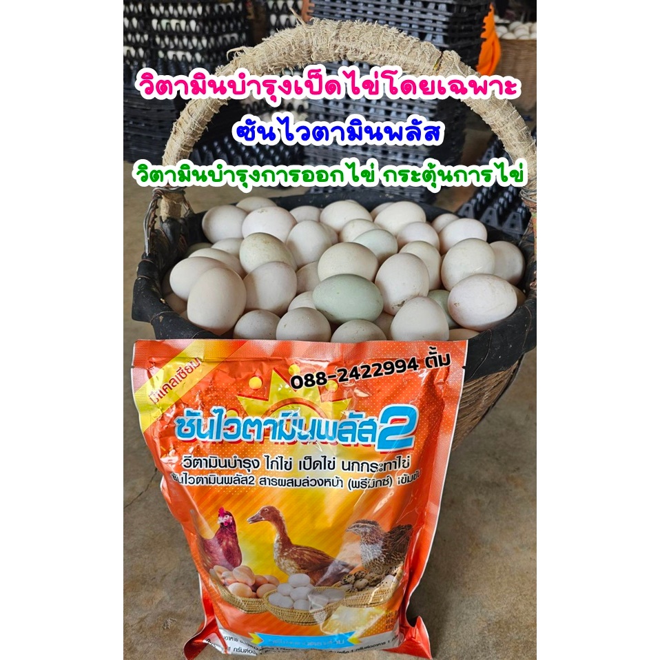 วิตามินเป็ดไข่โดยเฉพาะ ซันไวตามินพลัส2(วิตามินรวม+แคลเซียม) ไข่ใบใหญ่ เปลือกหนา ลดความเครียด ชุด 2 กิโล