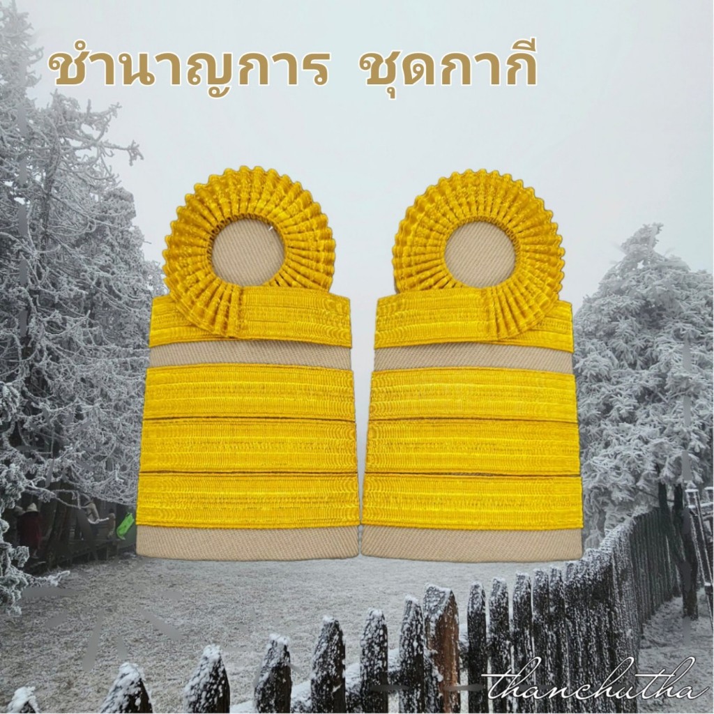 อินทรธนู ขีดชำนาญการ ชั้นพิเศษ ระดับ C7-8 ดิ้นอินเดีย