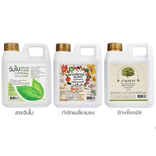 ดูแลพืช  1.สมุนไพรสำหรับเพลี้ยแมลง  2.สารจับใบธรรรมชาติ  3.ร…