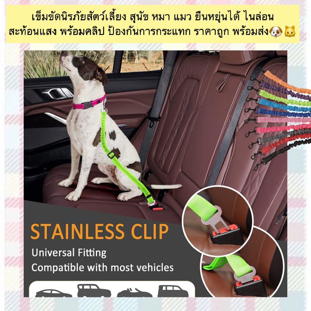 PP-854 เข็มขัดนิรภัยสำหรับสัตว์เลี้ยง 🐕🐈 สายไนล่อนยืดหยุ่น สะท้อนแสง ป้องกันแรงกระแทก พร้อมคลิปหมุน 360°
