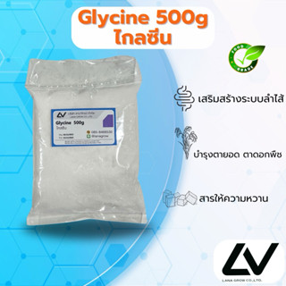 Glycine : ไกลซีน (กรดอะมิโน ) 500g