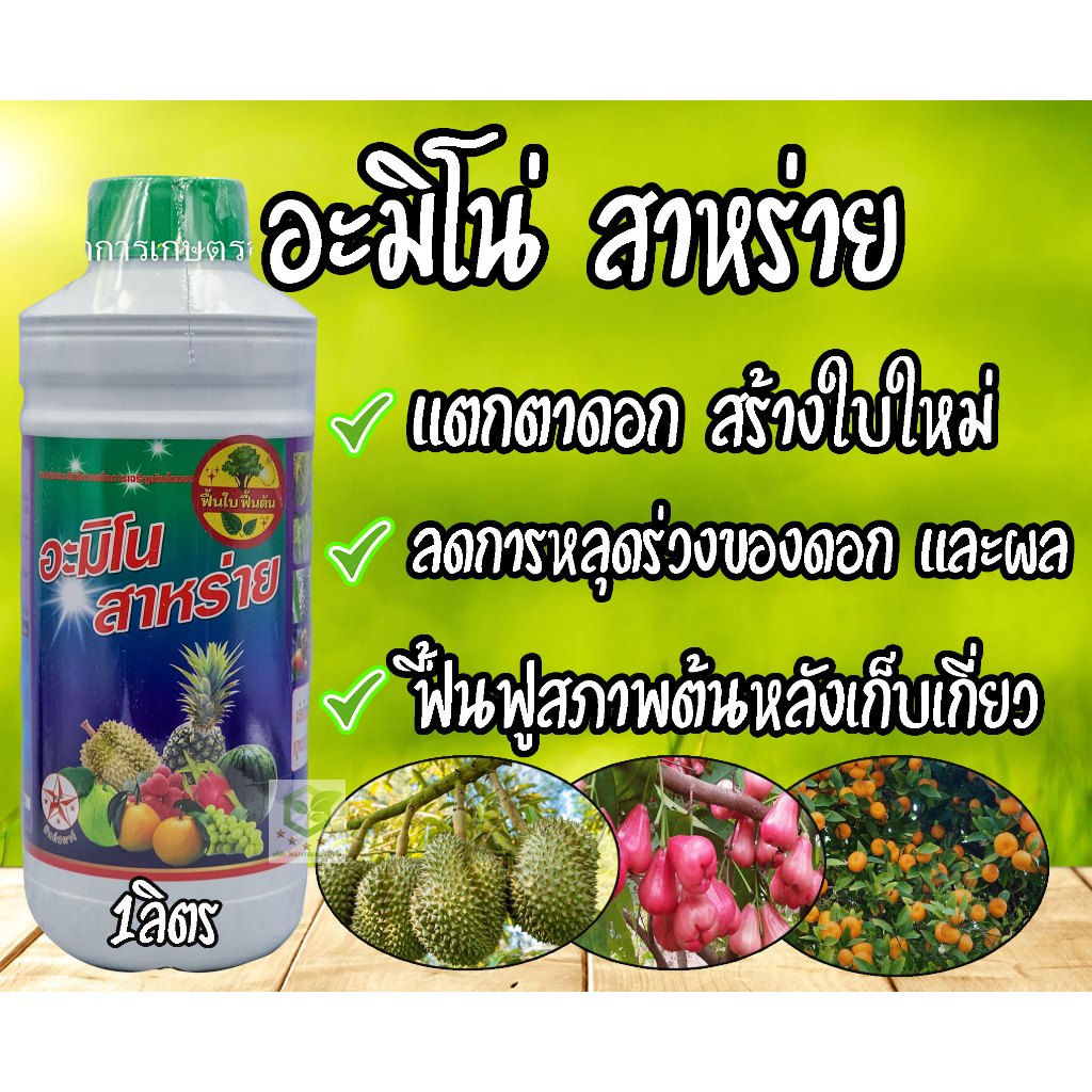 อะมิโน สาหร่าย ขนาด1ลิตร สร้างใบ เปิดตาดอก สร้างใบใหม่ ลดการหลุดร่วง แมมมอท ฟองดู  เกอร์มาพลัส