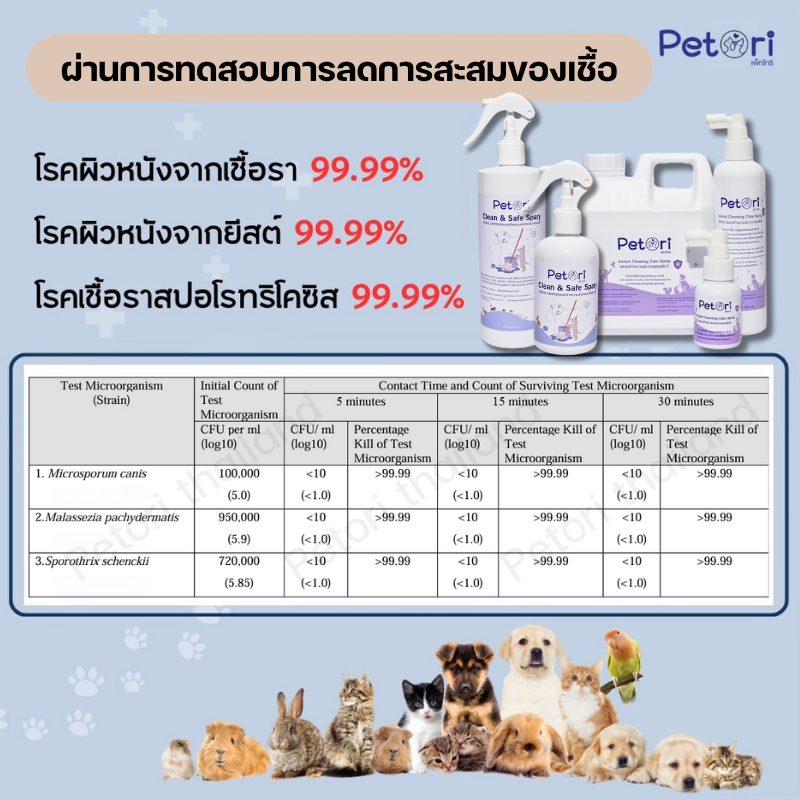 รูปภาพ 9