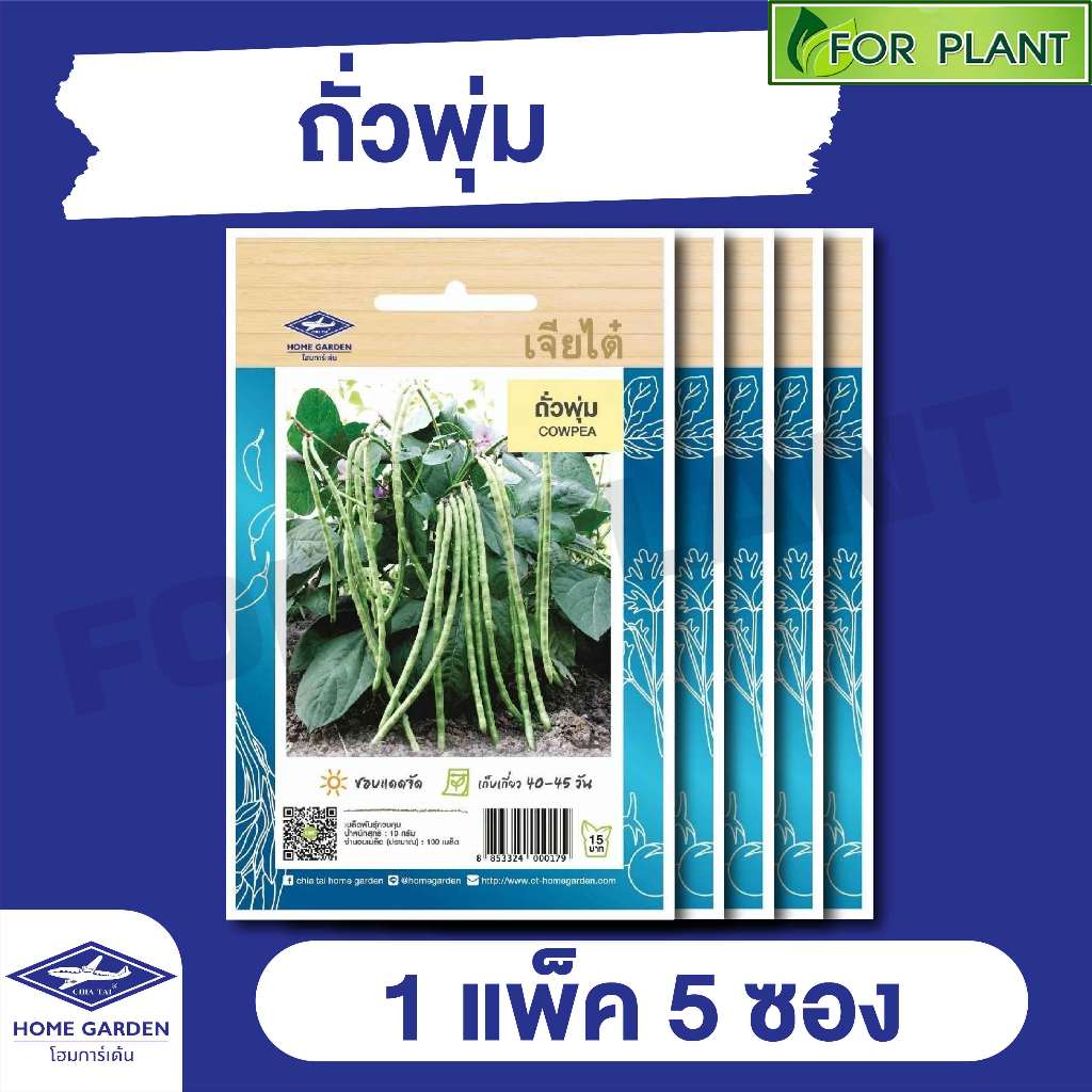 ผักซอง เจียไต๋ CT15 เมล็ดพันธุ์ พันธุ์ผัก ถั่วพุ่ม บรรจุแพ็คล่ะ 5 ซอง ราคา 43 บาท