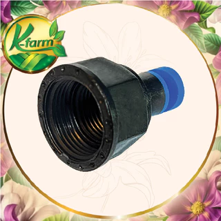 ( 10 อัน ) หัวฉีดด้านเดียว 180 องศา รูน้ำ 2.5 มิล น้ำน้อย สีฟ้า หัวมือบิดได้ เกลียวใน ใส่ได้ทั้ง 4 หุน 6 หุน สปริงเกอร์